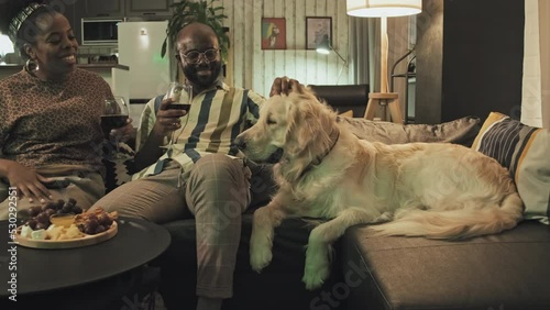 Wallpaper Mural Medium long of happy Golden Retriever dog lying on couch, African American man and his young Black girlfriend sitting near, petting animal, drinking wine Torontodigital.ca