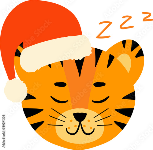 tiger face head santa hat set