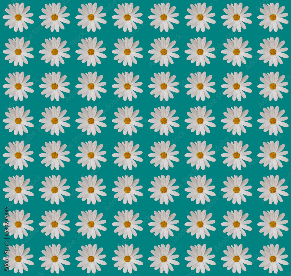 Floral wrapping paper design Floral wrapping paper design