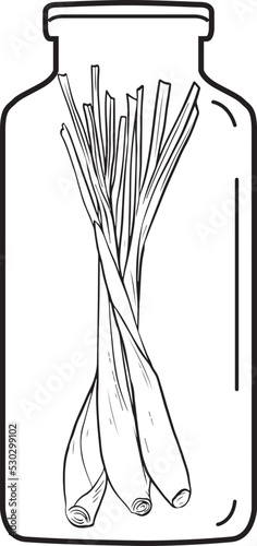 Vector Lemongrass  Aroma bottle Line Art