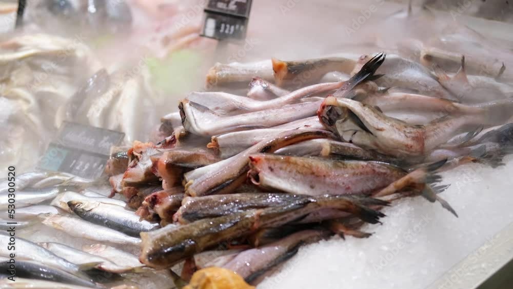 Fresh fish hake on a counter in a market Fresh fish hake on a counter in a market
