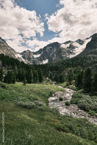 Mountain stream with rocky rapids against the backdrop of coniferous forest on the coast and snowy peaks of rocky mountains on the background. Epic landscape photo.