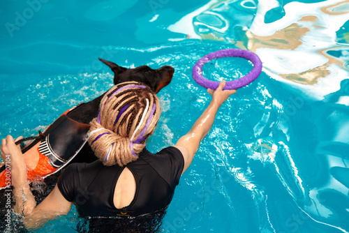 Schilderij op canvas Dog in life jacket swim in the swimming pool with coach