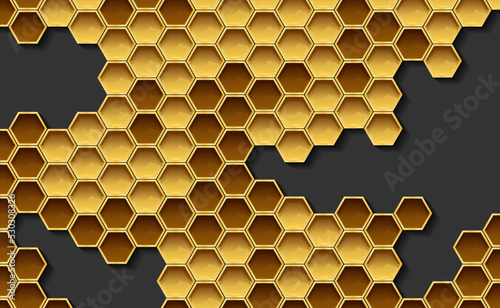 Honeycomb from a bee hive. Vector illustration of a honeycomb on a dark background. Sketch for creativity.