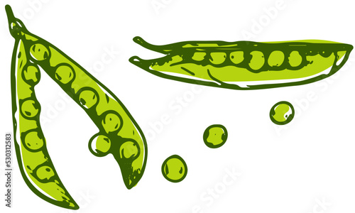 vegetable-Green Pea