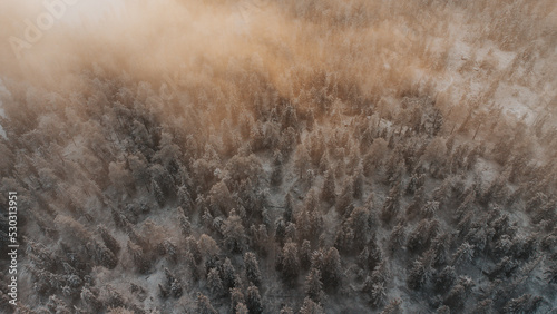 Aerial view of a Finnish coniferous forest covered with snow in the morning fog, illuminated by the orange light of the sunrise. Sotkamo area, kainu region, Finland. Scandinavian forests photo