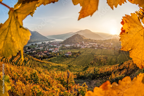 Photography Colorful vineyards in Wachau valley against Spitz village with Danube river in A