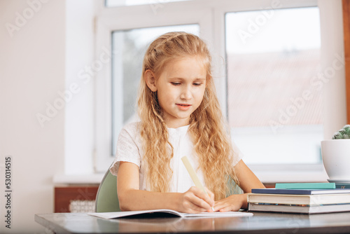 Beautiful girl child - schoolgirl teaches lessons at a desk