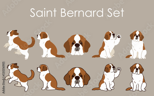 Simple and adorable Saint Bernard Dog illustrations set photo