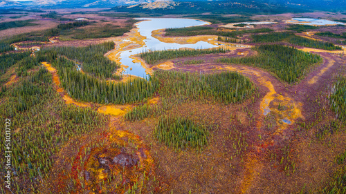 Fototapeta Naklejka Na Ścianę i Meble -  Aerial view over tundra landscape with lakes and trees in autumn colors in central Alaska