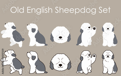 Simple and adorable Old English Sheepdog illustrations set