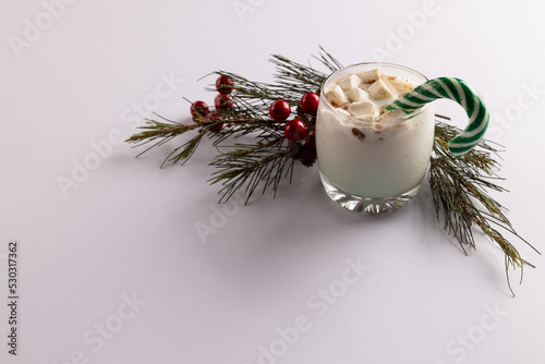 Image of glass of milk with marshmallows, candy cane, christmas decoration and copy space on white