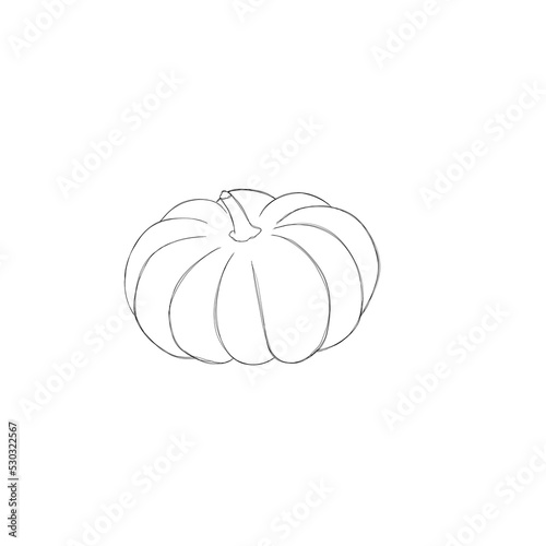 Ink sketch of pumpkin isolated on white background. Hand drawn illustration. ...