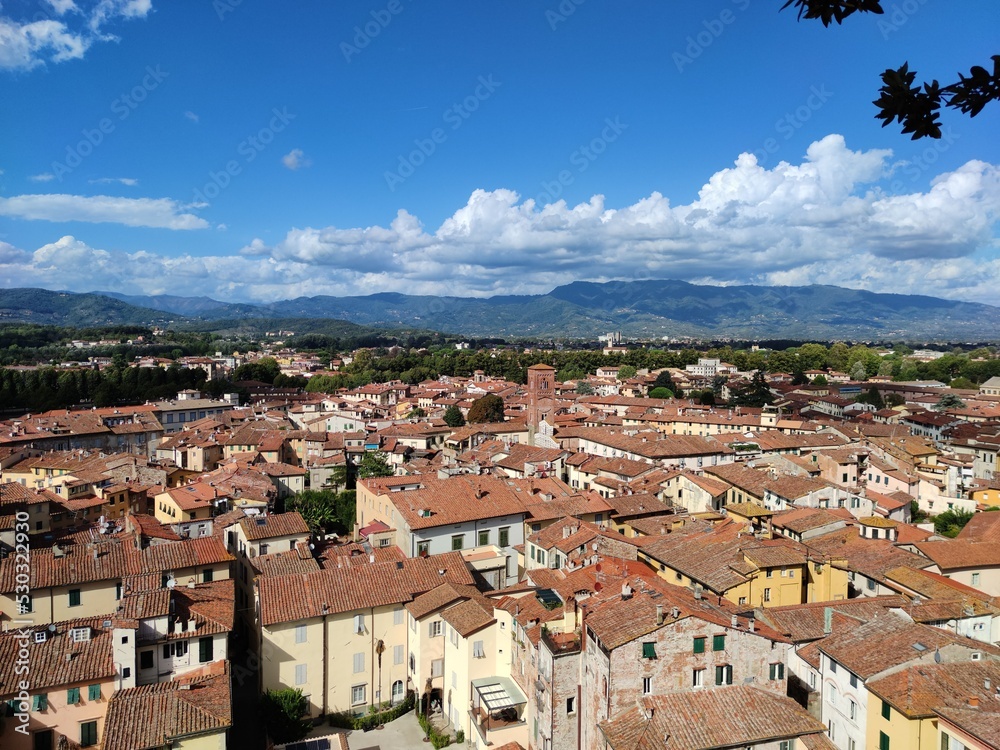 Views from the top of Guinigi Tower in Lucca, Italy