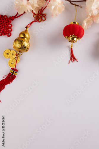 Composition of flowers and chinese decorations on white background