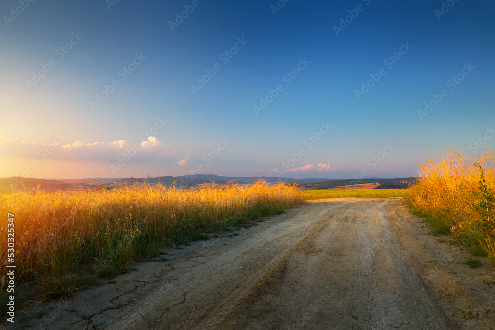 Autumn Italian rural landscape in retro style; Panorama of autumn field with dirt road and cloudy sky.