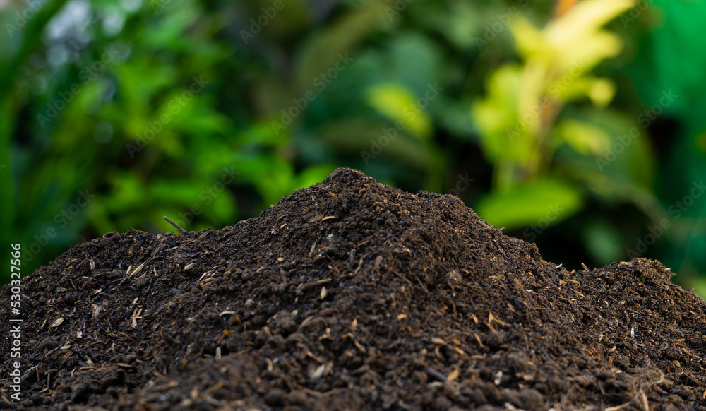 fertile soil background for environmental theme fertile soil background for environmental theme