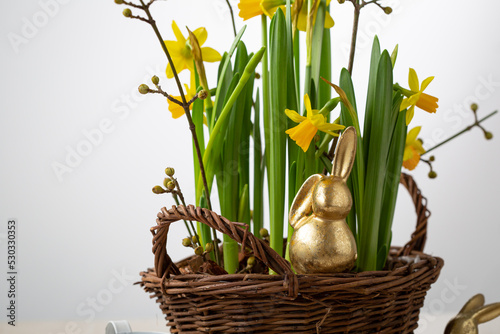 Spring Easter concept bunny and flowers in pot