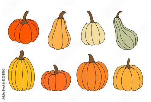 Vector pumpkin set. Hand drawn illustrations for autumn decorative design. Halloween collection.