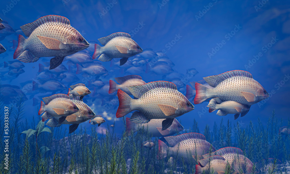 Flocks of fish swim in groups, the underwater circle is shining down