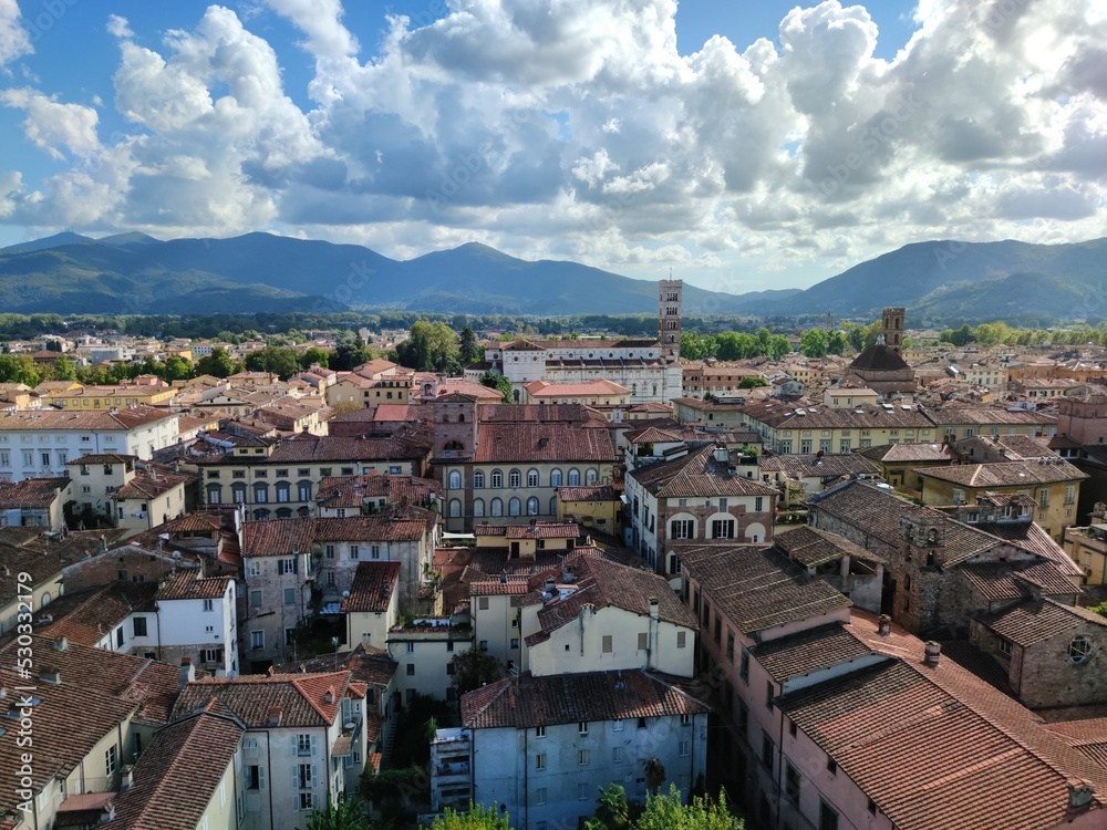 Views from the top of Guinigi Tower in Lucca, Italy