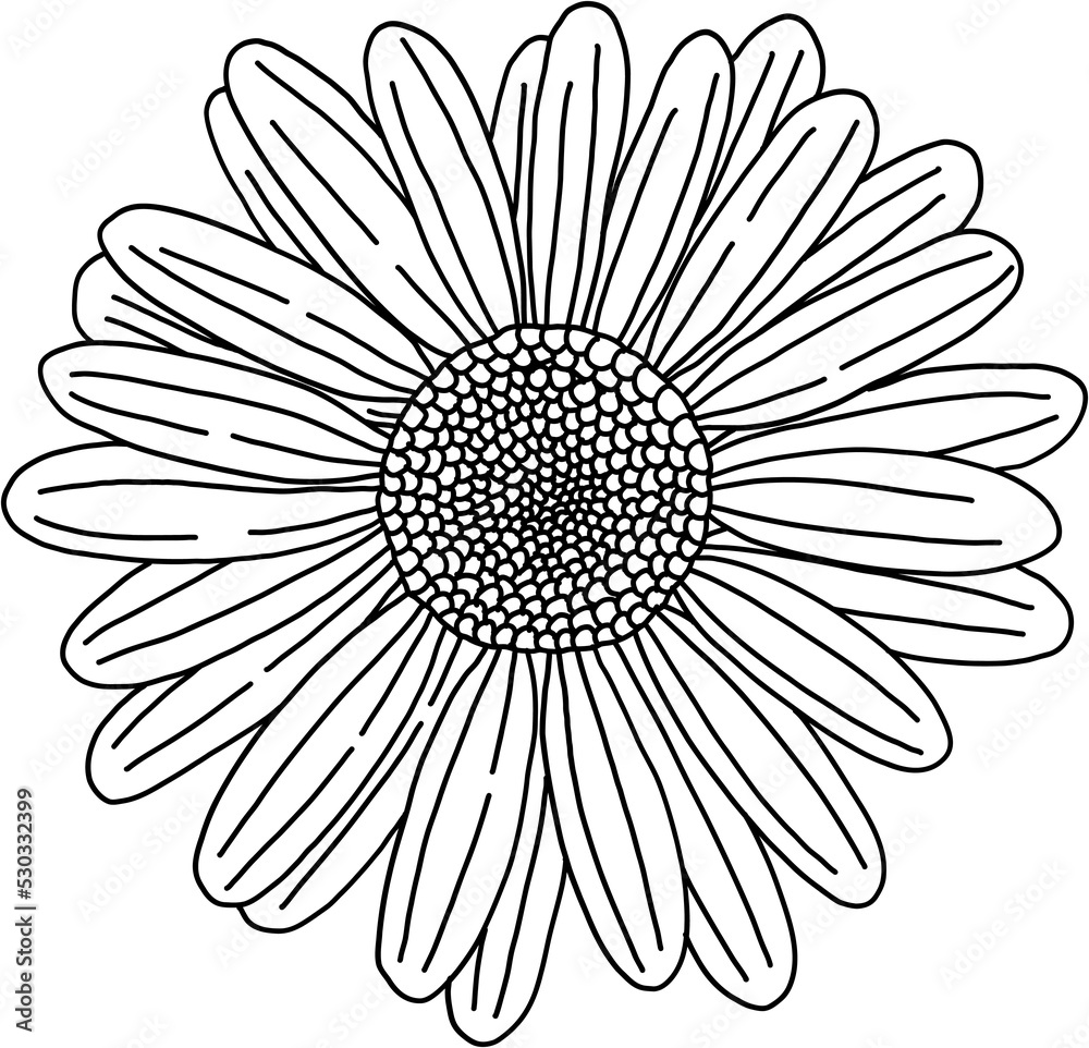 doodle freehand sketch drawing of flower. doodle freehand sketch drawing of flower.