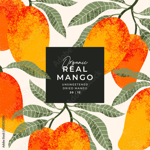 Mango fruit design template. Vintage textured style. Mango tree.