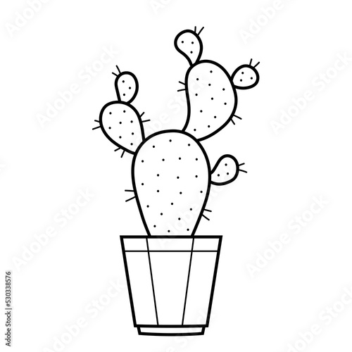 Cactus. Exotic plant with prickles in sketch doodle style. Isolated vector illustration.
