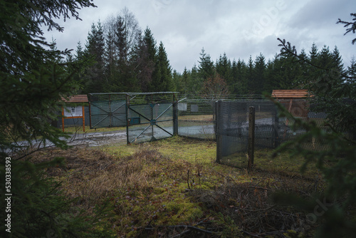 Grenzbereich ein Stück deutsche Geschichte mitten im Wald gelegen 