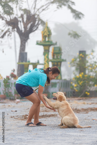 Women's training her puppy golden retriever for catching something back.