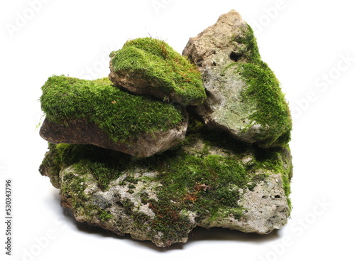 Green moss on group stone 