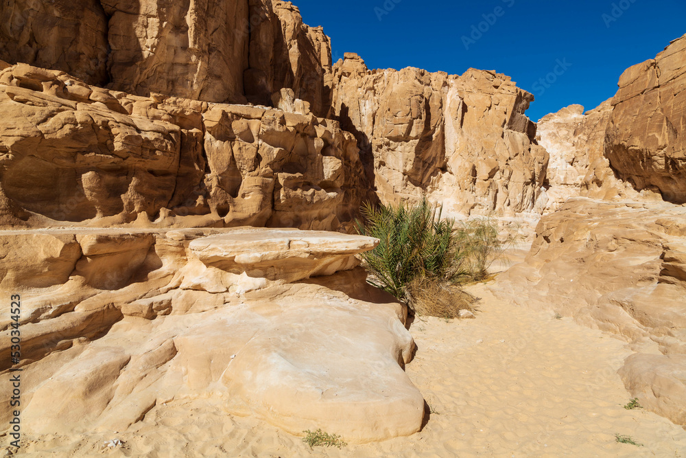 White Canyon in Sinai. Yellow and orange sandstone textured carved mountain, bright blue sky. Egyptian desert landscape. Sinai peninsula, Egypt
