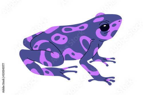 Poison dart frog of purple color. Exotic amphibian reptile. Tropical violet toxic froglet with spots. South American Amazon animal. Flat vector illustration isolated on white background