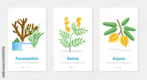 Vector design of onboarding screens with nutrition food supplements. Modern and simplified illustrations with plants. Template for mobile app