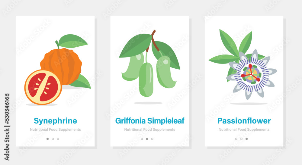 Isolated vector onboarding templates with herbs and fruits. Vertical banners with nutritional food supplements.