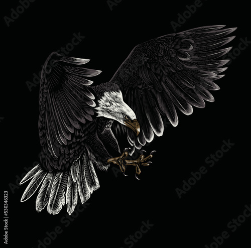American Bald eagle vector illustration.
