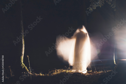 Fototapeta Ghost in the woods at night