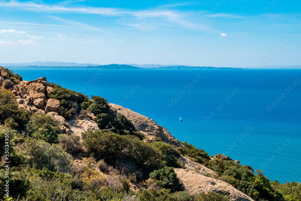 Fototapeta premium forest and sea