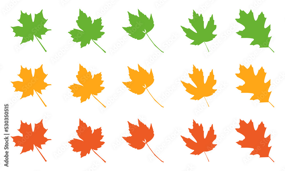 Set of autumn leaves. Vector isolated illustration on a white background. eps10