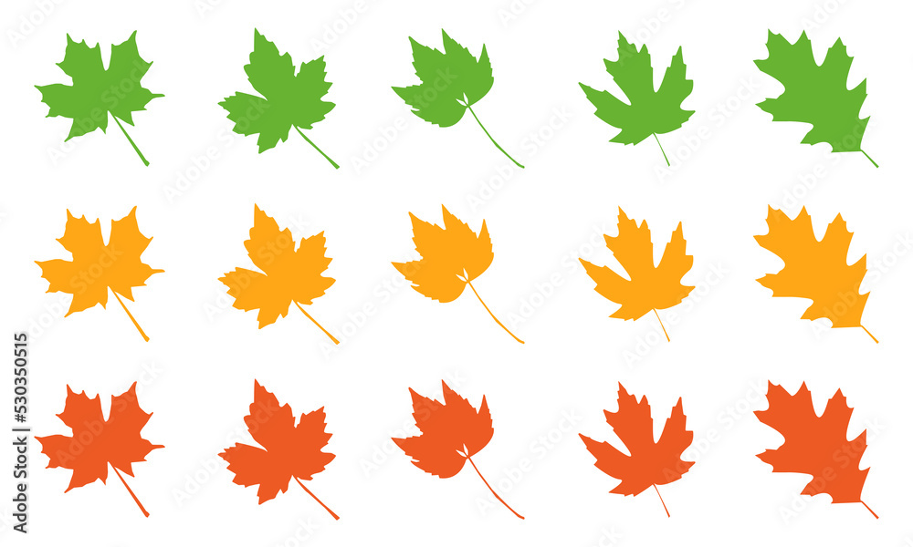 Set of autumn leaves. Vector isolated illustration on a white background. eps10 Set of autumn leaves. Vector isolated illustration on a white background. eps10