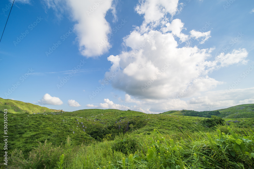 夏の爽やかな青空と緑の野原