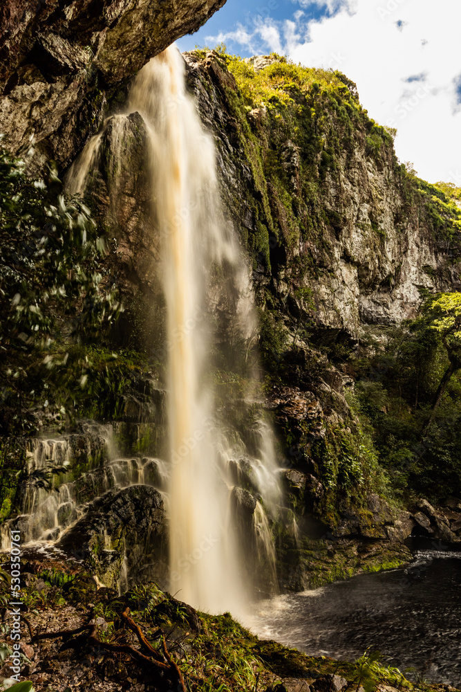 Obraz premium waterfall in the forest