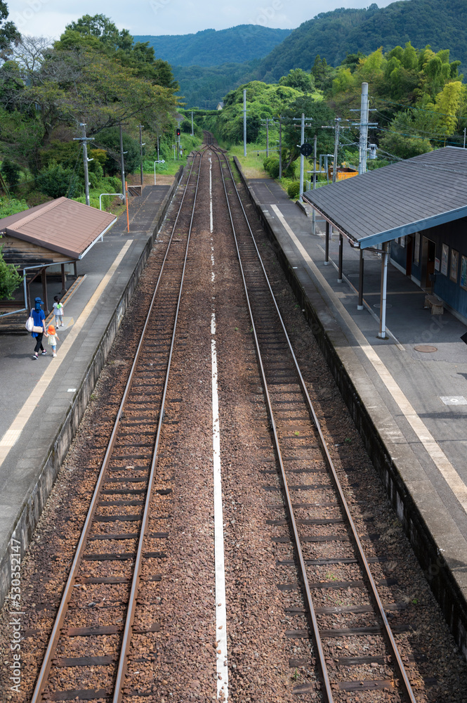Fototapeta premium 九大本線 小野屋駅