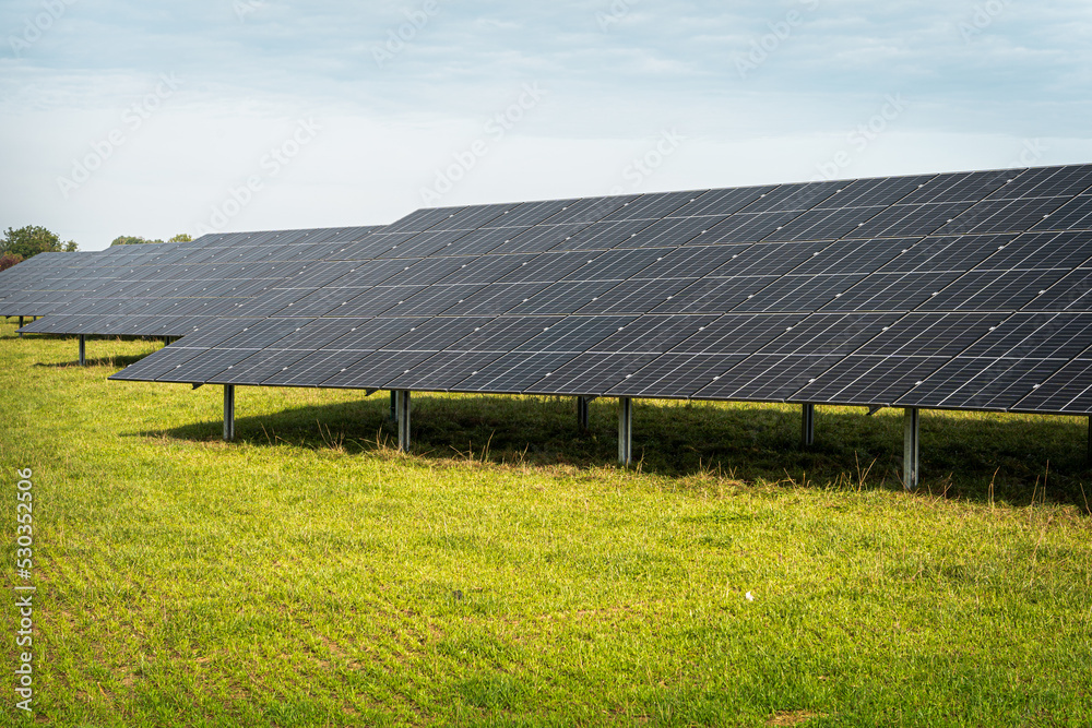 Renewable energy from solar panels in a solar park to generate clean energy.