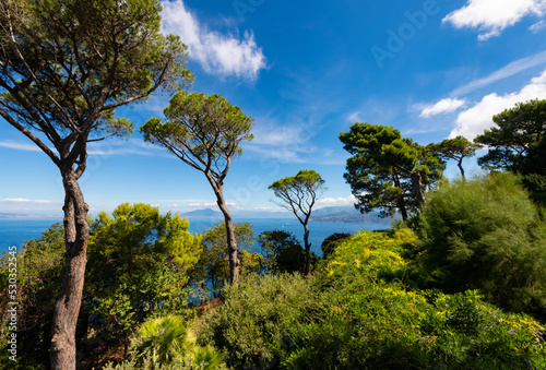 Capri panorama with tall pinetrees in a romantic garden of historic villa in Anacapri. Gulf of Naples with mount Vesuvius on the horizon. Sunny day at famous tourist destination in mediterranean sea. photo