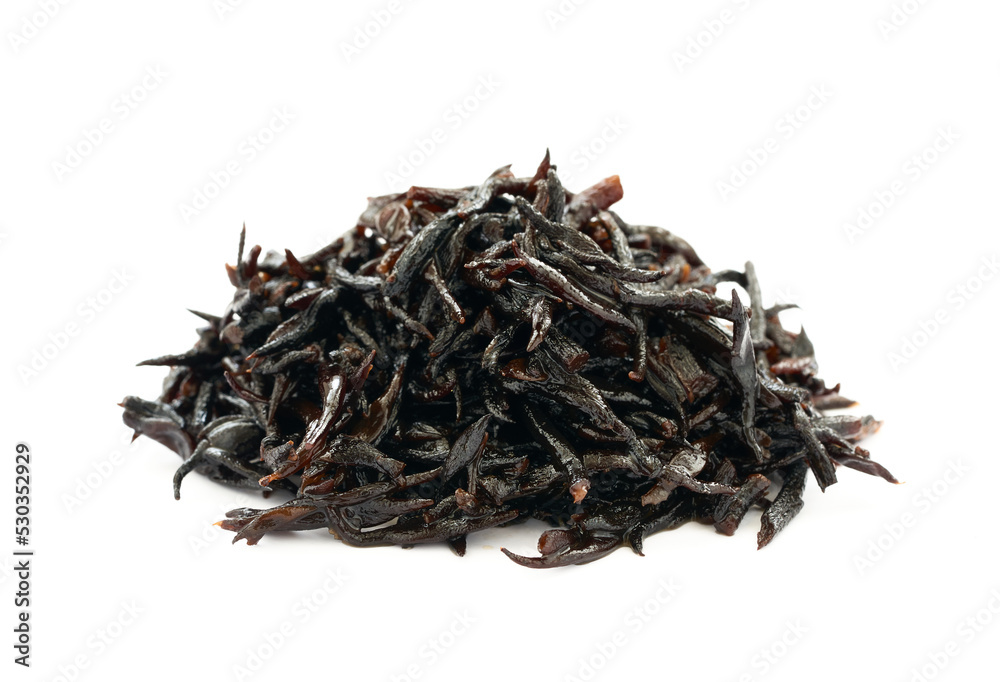 seaweed sargassum fusiforme or Hijiki seaweed isolated on white background seaweed sargassum fusiforme or Hijiki seaweed isolated on white background