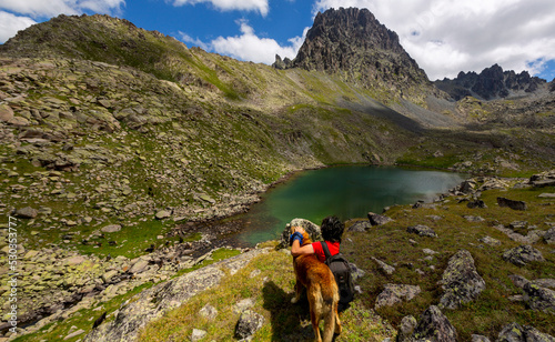 atos Glacier Lake (2970 m) is in the between Vercenik and Kale Highlands. Kackar Mountains, Eastern Black Sea Region.