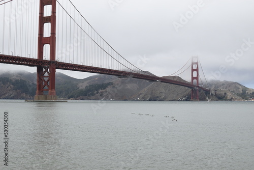 The Golden Gate Bridge and some seagulls over the sea.