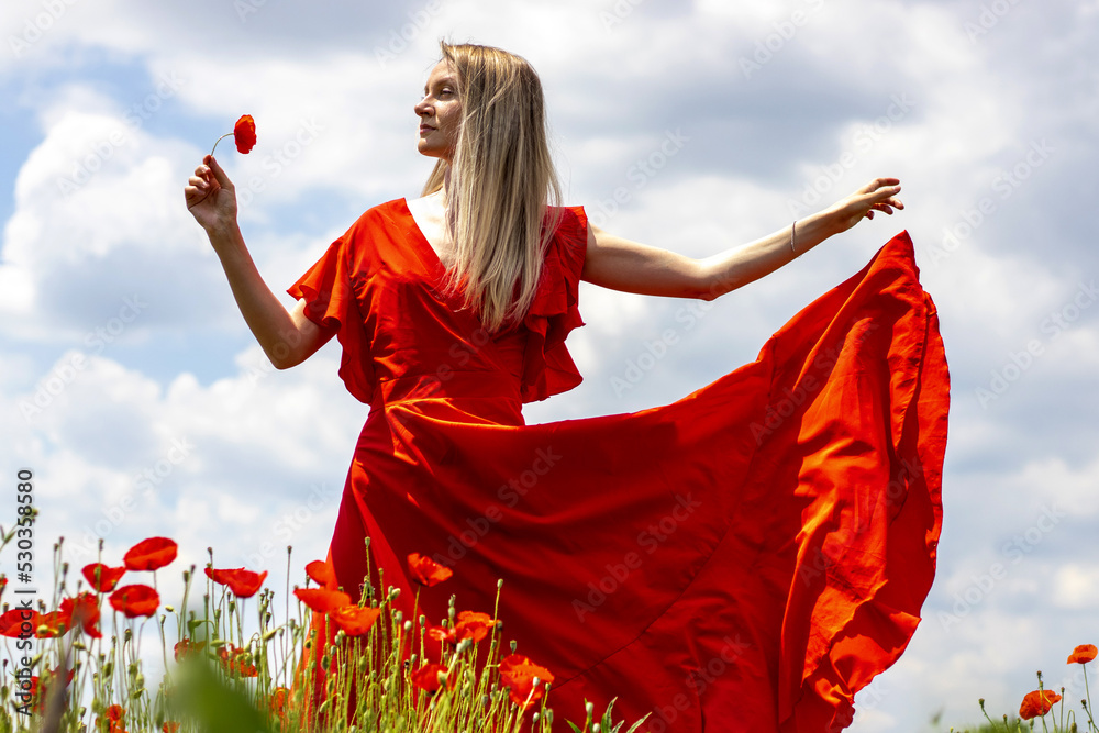 beautiful blonde woman in red dress in a poppy field,sunny summer day ...