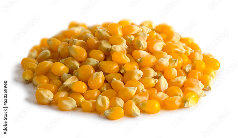 Popcorn Seed Pile Popcorn Seed Pile